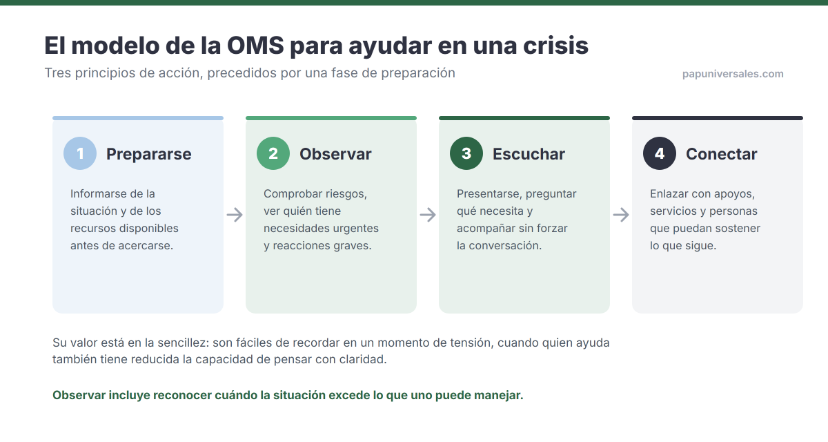 Los cuatro pasos del modelo de la OMS para ayudar en una crisis: prepararse informándose de la situación, observar riesgos y necesidades urgentes, escuchar sin forzar la conversación, y conectar con apoyos y servicios.